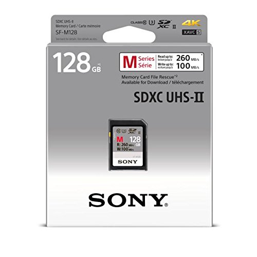 Sony SFG1M - SDXC