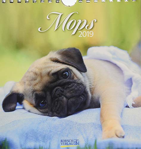 Download Mops 2019 Postkartenkalender: aufstellbarer Postkartenkalender Download Mops 2019 Postkartenkalender: aufstellbarer Postkartenkalender
