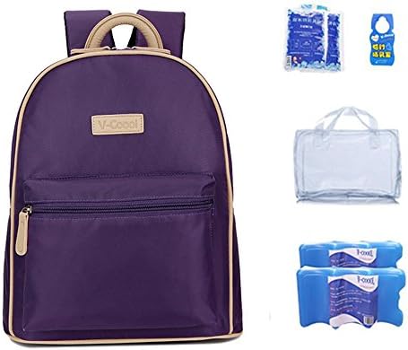 Back milk bag, shoulder breast milk fresh package, storage milk ice pack, blue ice insulation bags, outdoor mummy bag ( Color : Purple )