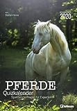 Stefan Heine Pferde-Quiz 2020 Wochenkalender - Stefan Heine - 23,7x34cm - Quizkalender - Pferdekalender by 