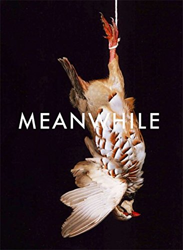 Preisvergleich Produktbild Shirana Shahbazi: Meanwhile