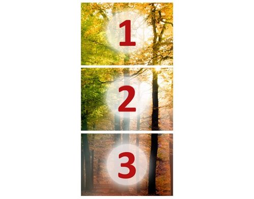 Türtapete Papiertapete Wald No.54 ‚FOREST LIGHTS‘ 100x210cm Foto Tapeten Bäume , Größe:210cm x 100cm - 4
