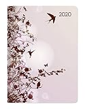Mini-Buchkalender Style Hummingbird Tree 2020 - Taschenplaner - Taschenkalender A6 - Day By Day - 352 Seiten - Terminplaner - Notizbuch by 