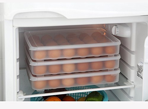 Eierbox,Hikeren Eier-Halter-Kasten Covered Egg Spender mit Griff-Speicher-Organisator für Küche 24-Ei Kapazität - 5