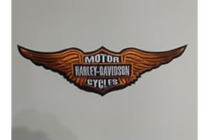 CHOPPER55 Toppa Patch Toppa HD ca. 29 X 9 cm Aquila Eagle Sportster Shield Motor Motocicletta Moto Club