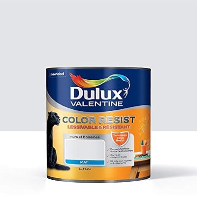 Dulux Valentine Peinture roc blanc DULUX VALENTINE Color resist 1 l