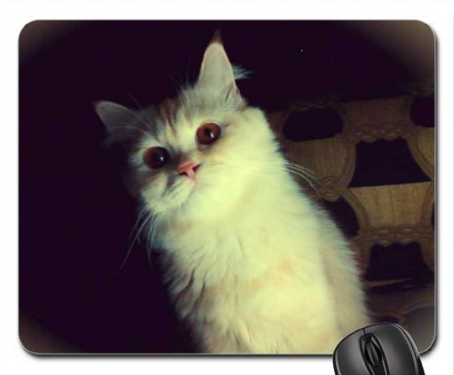 Preisvergleich Produktbild BGLKCS