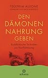 Den Dämonen Nahrung geben: Buddhistische Techniken zur Konfliktlösung - Vorwort von Jack Kornfield by Tsültrim Allione, Erika Ifang
