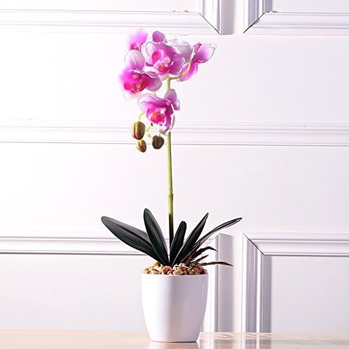 FZH FWEHUI Butterfly Purple Orchid Vase of silk artificial flowers decoration wrong