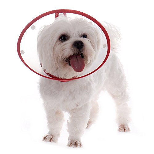 Elizabethan-Collar-with-Breathable-Soft-Edge-Plastic-Snap-Closure-for-Dogs-and-Cats
