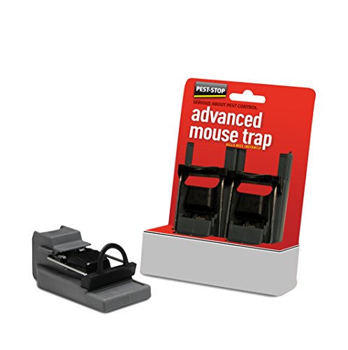 Procter Bros Ltd PSAMT - Trampa para roedores