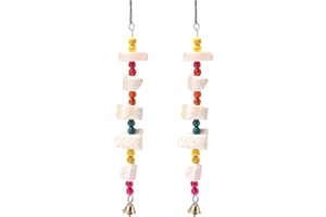 GXGM Set di 2 giocattoli da masticare per uccelli grandi pietra di calcio con campanelle per la limatura del becco accessori per gabbie parrocchetti pappagalli criceti cincillà conigli coniglietti