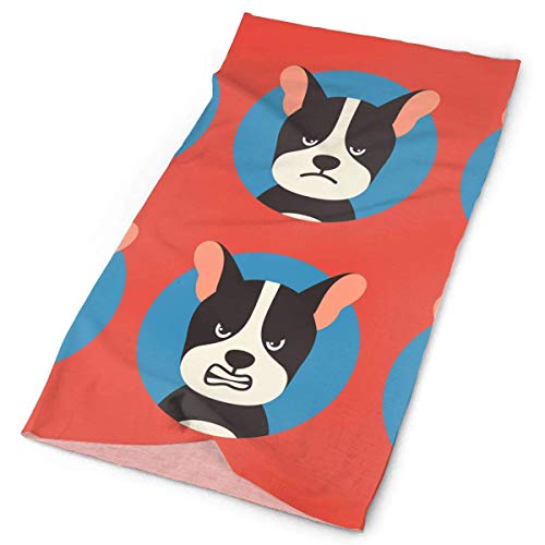 Preisvergleich Produktbild headscarves sky Headband Boston Terrier Dog Scarves Headband Cap Bandanna Headwear