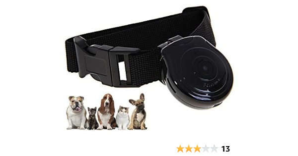 dog collar camera amazon
