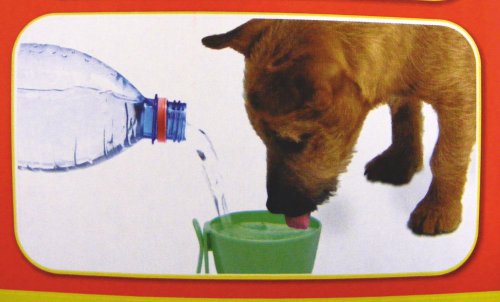Dogit-H20-Cups-Display-X24