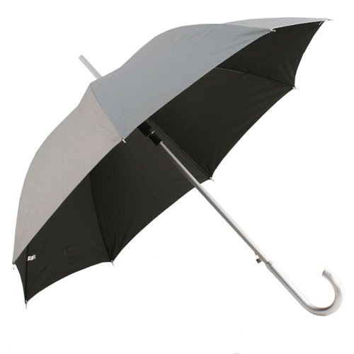 ChrysalinSilver 2 Tone Umbrella