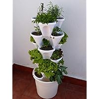 Amazon.es: Semilleros - Invernaderos y equipos de germinación: Jardín