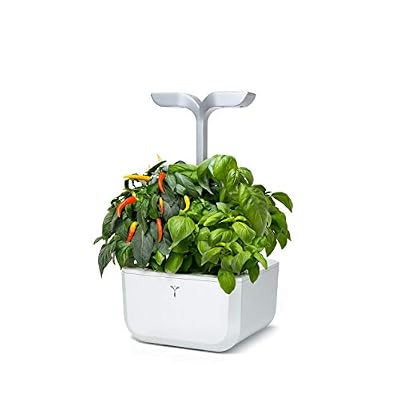 Veritable Véritable® EXKY® - Potager d'Intérieur Fabriqué en France - Jardin Autonome Intelligent Livré avec 2 Lingots® - Ces Innovation Award 2019 (Smart Arctic White)