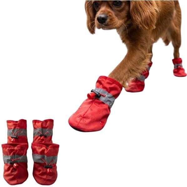 AEE® Su Geçirmez Köpek Botu 4’lü Set | Yansıtıcı Patik | Kaymaz Taban Yağmur Çamur Koruma Pati Ayakkabısı Karışık Renk Asorti