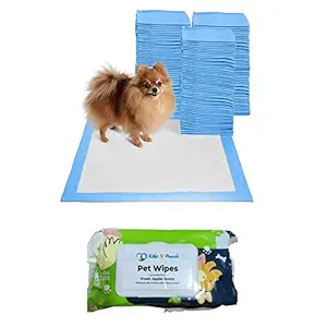 Pooch Box (Combo of 2) Pet Wipes for Dogs, Puppies & Pets with Fresh Apple Scent 6