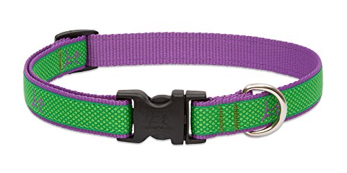 Lupine Club Collection Cane Collare per Cani di Medie e Grandi: