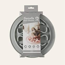 inooko - Gamelle Anti-glouton pour Chat, Antidérapante, Gris Clair