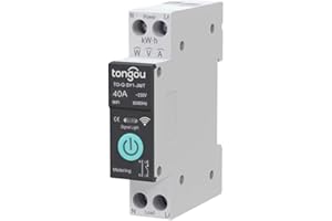 YANLAN Interruptor Disyuntor Inteligente Tuya ZigBee 1P 6A 10A 16A 20A 25A 32A 40A 50A 63A Interruptor WiFi de Control Remoto Inalámbrico para el Hogar Inteligente (40A With Metering)