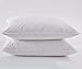 Puredown White Goose Feather and Down Pillow, Standard, Set of 2
