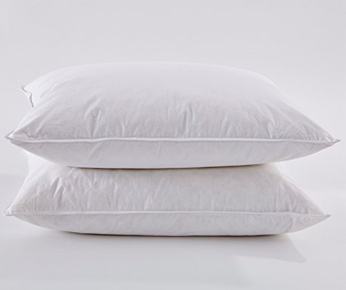 Puredown White Goose Feather and Down Pillow, Standard, Set of 2
