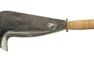 WEBMARKETPOINT Angelo b. roncola maremma cm. 30