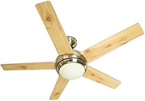 Ventilatore Soffitto Con Luce Fresco Pepeo-Fn52238