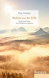 Medizin aus der Stille: Kraft und Weite im Gewahrsein erfahren by Elias Amidon