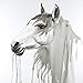 Produktbild Begin Home Decor Beautiful White Horse Wrapped Canvas, 24x24