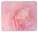 Price comparison product image (Precision seamed) Pale Pink Mouse Pad, Close Up Rose Petal Flourishing Macro Bloom Wedding Inspired Love Fragrance Image, Standard Size Rectangle Non-Slip Rubber Mousepad, Coral