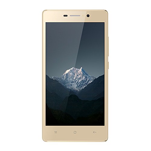 spécifications Echo Smart Smartphone débloqué 4G (Ecran: 5 pouces - 8 Go - Double Micro-SIM - Android) Or