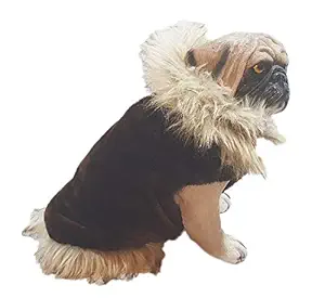 Kitty & The Woof Gang Brown Carpet Fur with Light Brown Faux Fur Collar and Bottom Strip Premium Winter Jacket - Coat with Black Velvet Warm Lining for Dogs and Cats | Size M