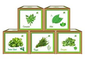 Sow and Grow Seed Starter Grow Kits of All Herbs - Oregano + Thyme + Mint + Coriander + Italian Basil - DIY Easy Grow it Yourself Gardening Kits for Home and Garden