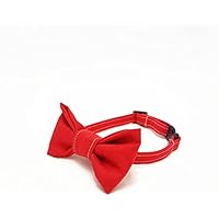 Katzenhalsband mit Fliege - Rotkäppchen