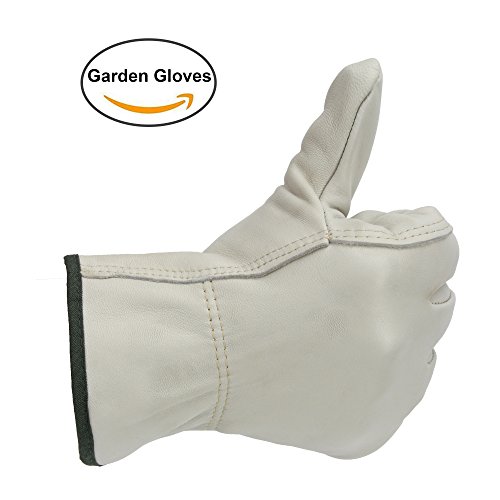 OZERO Leder Gartenhandschuhe, Schaffell Arbeitshandschuh mit elastischem Handgelenk - Duable & Flexable für Industrie Infrastruktur Bauernhof Gartenarbeit Fahren - Perfekte Passform für Männer & Frauen LightCyan Mitts 1 Paar (M)