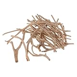 Wunderschöne natürliche Lake Superior Treibholzstücke.