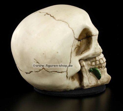 Nemesis-Now-Rose-Dead-Skull-Figurine-15cm