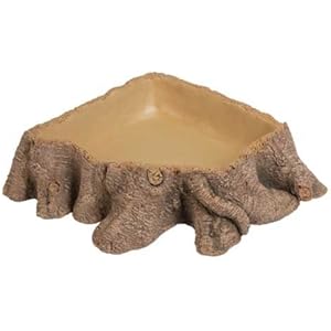 Trinkschale Stump 3, 26x26x6 cm