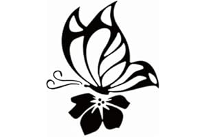 HUAMENGYUAN Adesivo riflettente a farfalla per auto, adesivo a farfalla riflettente per auto impermeabile, adesivo per casco da moto riflettente 3D, adesivo decorativo per finestrini laterali dell'auto