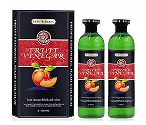 Beaute Blanc Fruit Vinegar Hair Gel Color with 2 Hair Dye Pouch Free, 500mlx2 - Black