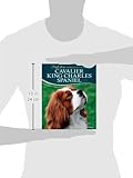 Image de Cavalier King Charles Spaniel