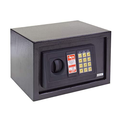 Dema - Caja fuerte digital (12 L, 31 x 20 x 20 cm)