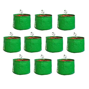 Live with Alive Plastic Grow Bags, Set of 10