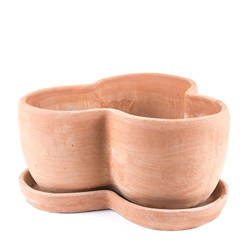 Kräutertopf Kräuterschale inkl Untersetzer D 29cm Terracotta für 3 Pflanzen Neu