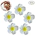 Produktbild EQLEF® Blumen Haarklammer Haarclip Blumen Haarspangen Hawaiian Blumen Haarnadel Braut Barrette Tropische Strand Hochzeit Plumeria Blume Frauen Party Braut Orchidee Haarclip 5Pcs (Weiß)