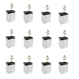 ZEONELY MART Plant Grow Bags UV Stabilized Poly Grow Bags (White Outside, Black Inside, 24X24X40 cm, 12Pcs)